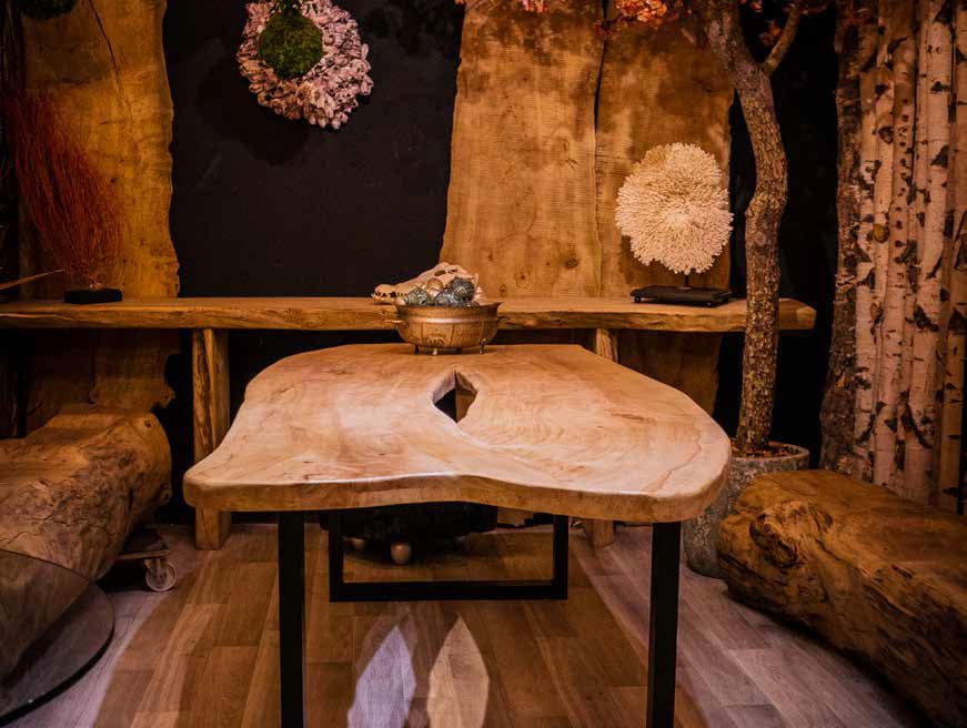 Table basse bois massif live edge et décor naturel intérieur Table basse live edge en bois naturel sur pieds métal. Décoration intérieure rustique avec planches de bois murales, troncs et plantes.